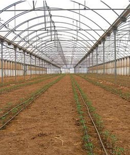agricultura