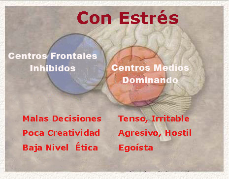 Mejor salud fsica y pscica en trabajadores 